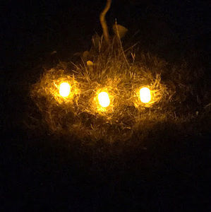 Meet your Posher, Labron